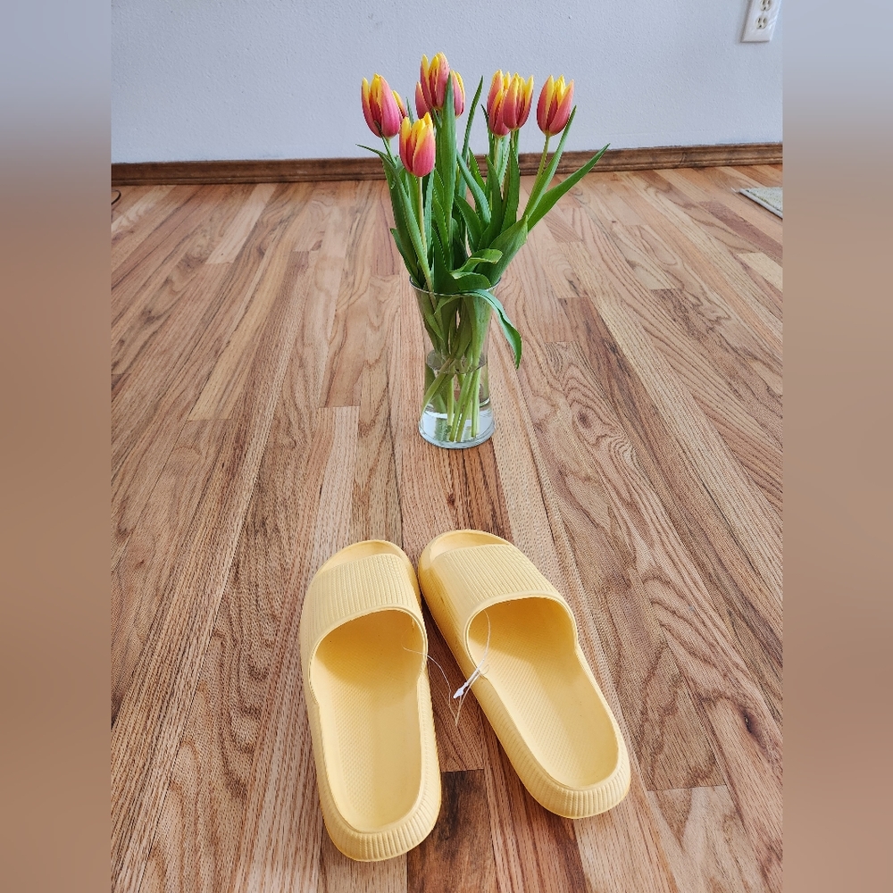 Yellow Slides 7.5